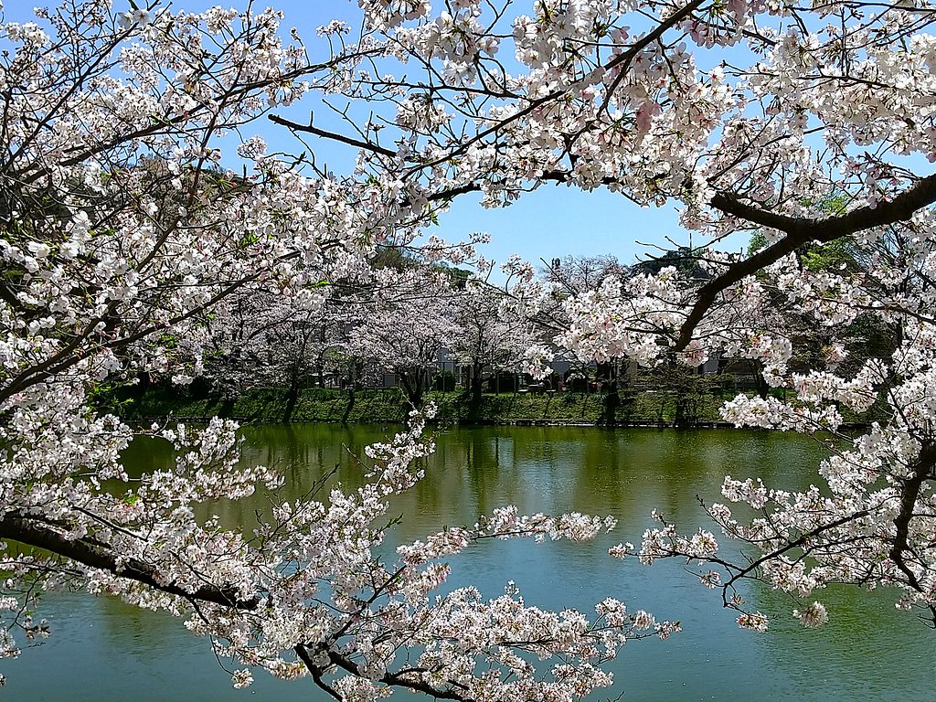 谷戸池
