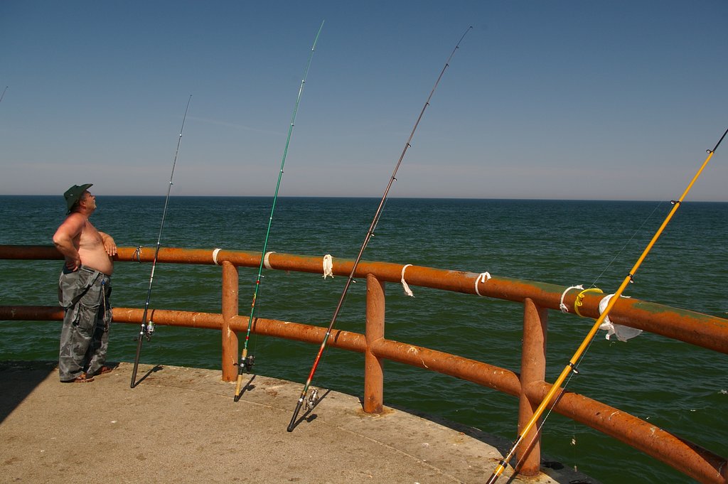 Angler