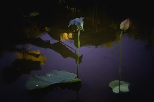 「好」　黄昏時