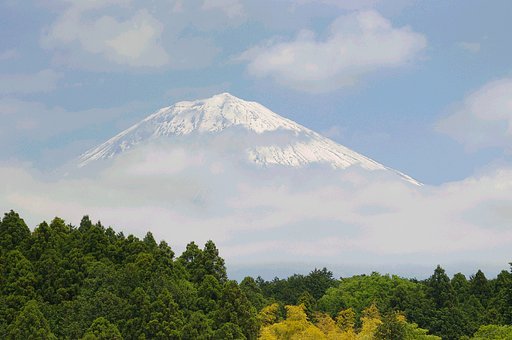 富士山