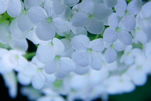 6月23日の写真