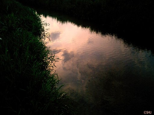 夕照