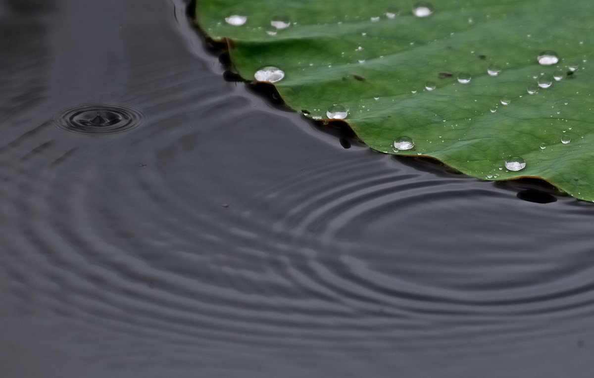 [旬]梅雨