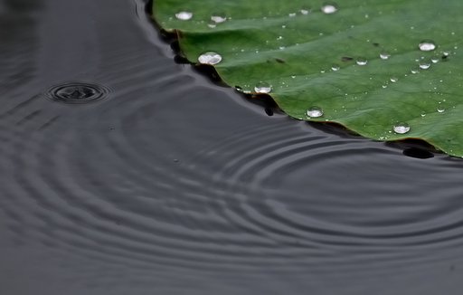 [旬]梅雨
