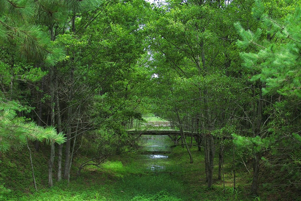 草の川
