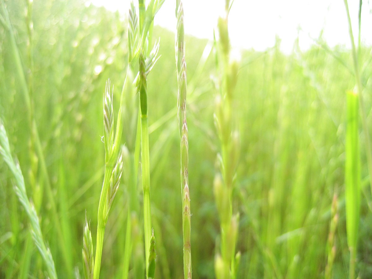 小鳥の視線で
