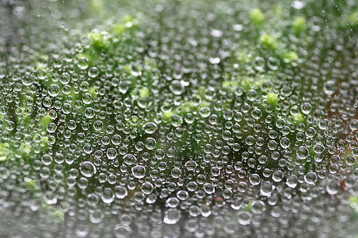 水滴