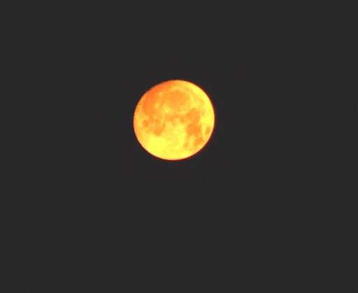闇夜の満月