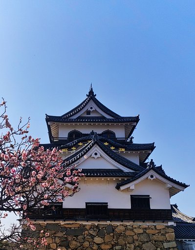 彦根城