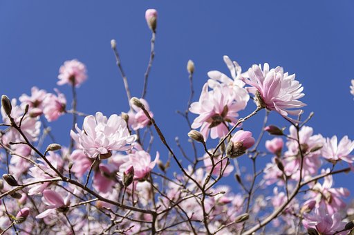 3月14日の写真