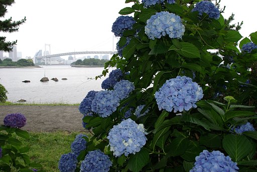 あれに見えるは・・・