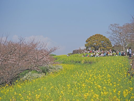 ちょっと違うかな？