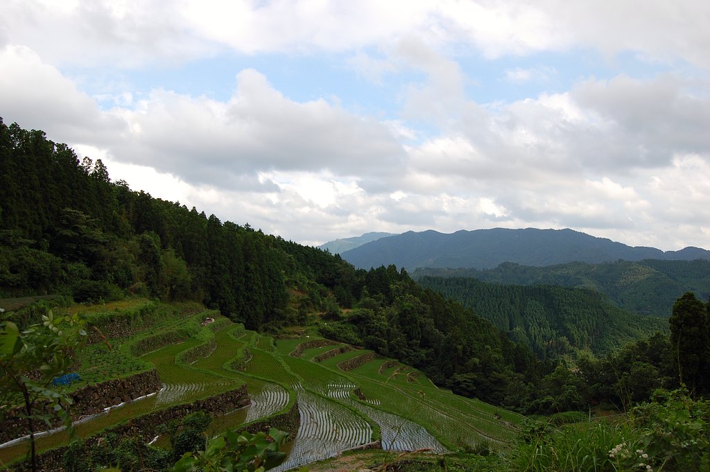 棚田