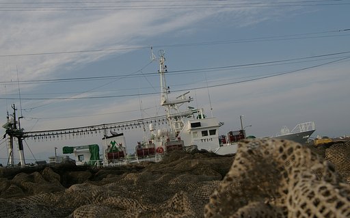 荒網を乗り越えて
