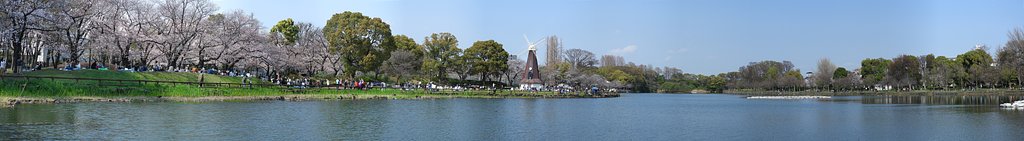春の浮間公園