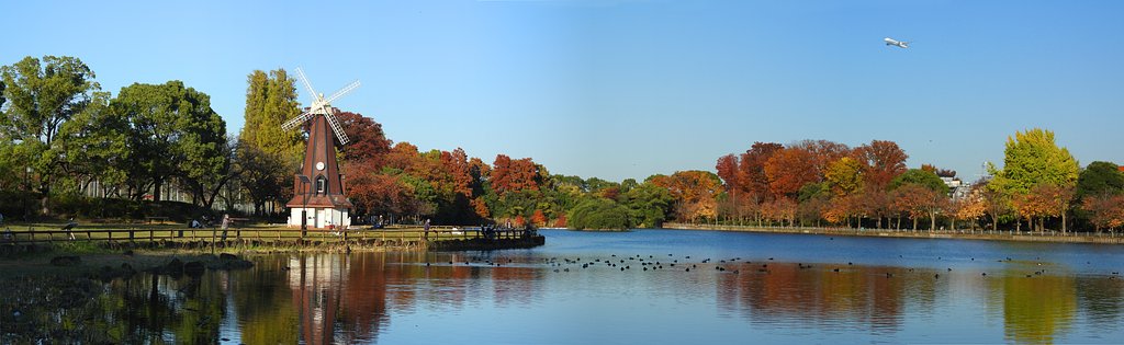 秋の浮間公園