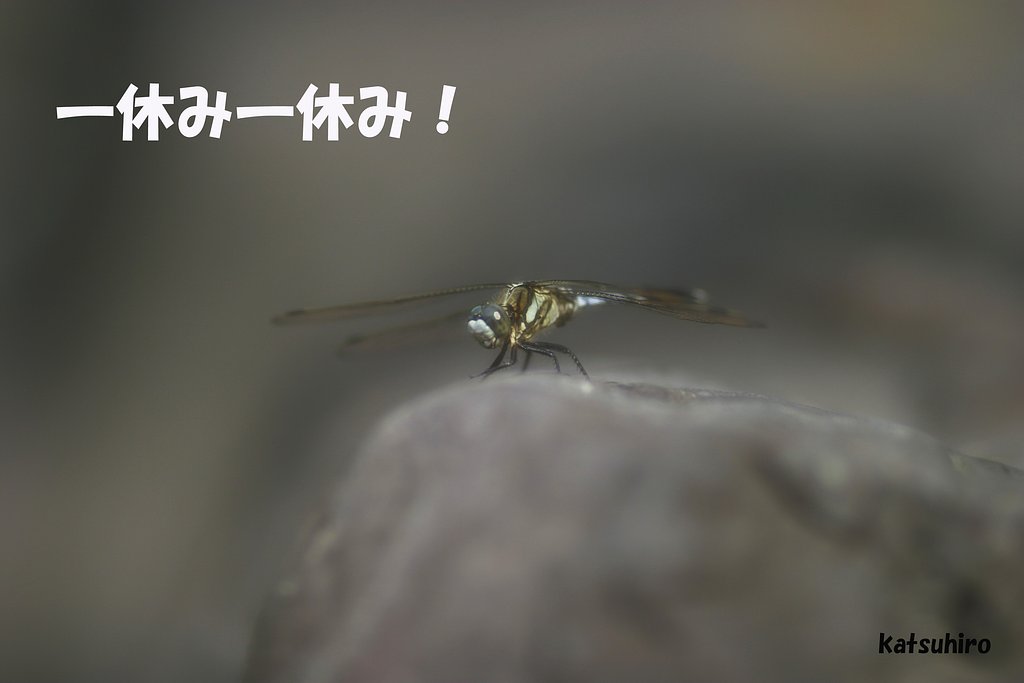 一休み