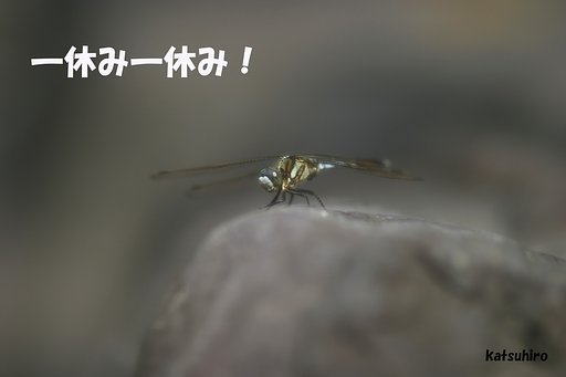 一休み