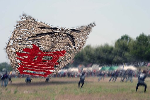 《旬》　Photoshopで流し撮りあそび