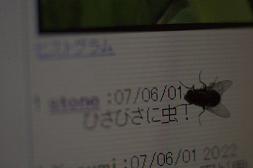 虫にも好かれる