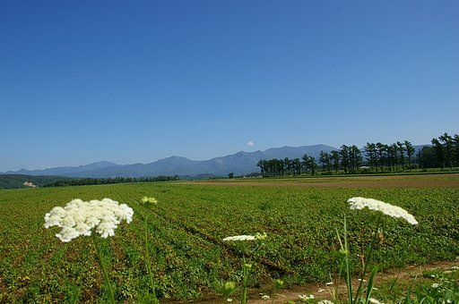神丘から狩場へ