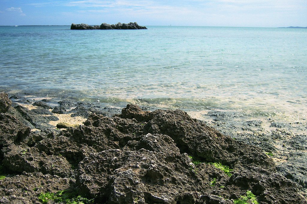 暑くて静かで遠い海