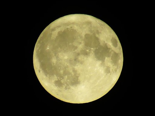 昨夜は満月（ブルームーン）