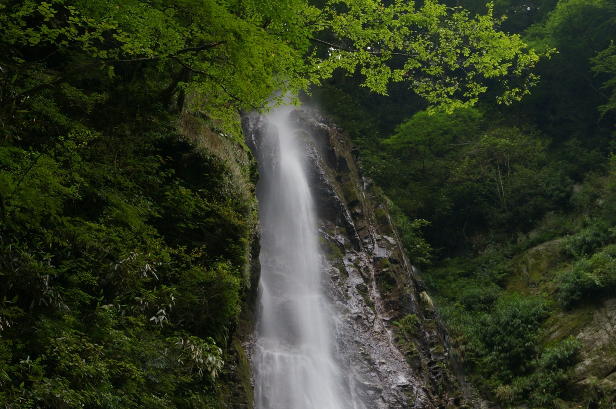 丹沢にて（３）