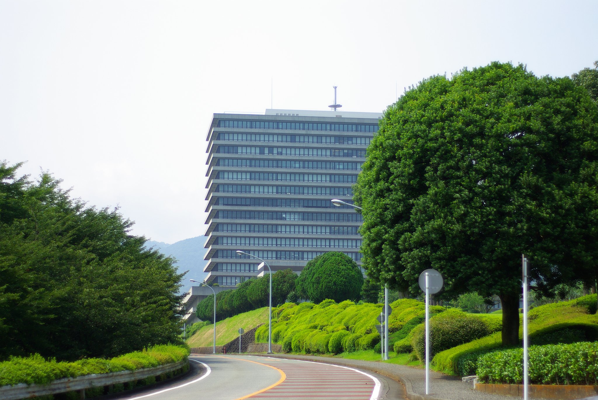 ツァイスＺＫ-Ｋ１０Ｄ　Ｆ1.6