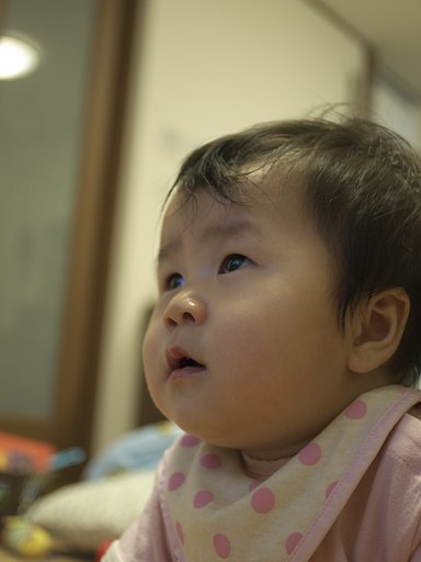見入る
