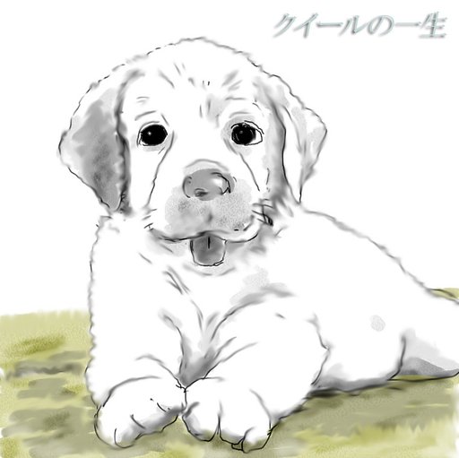 盲導犬クイールの一生