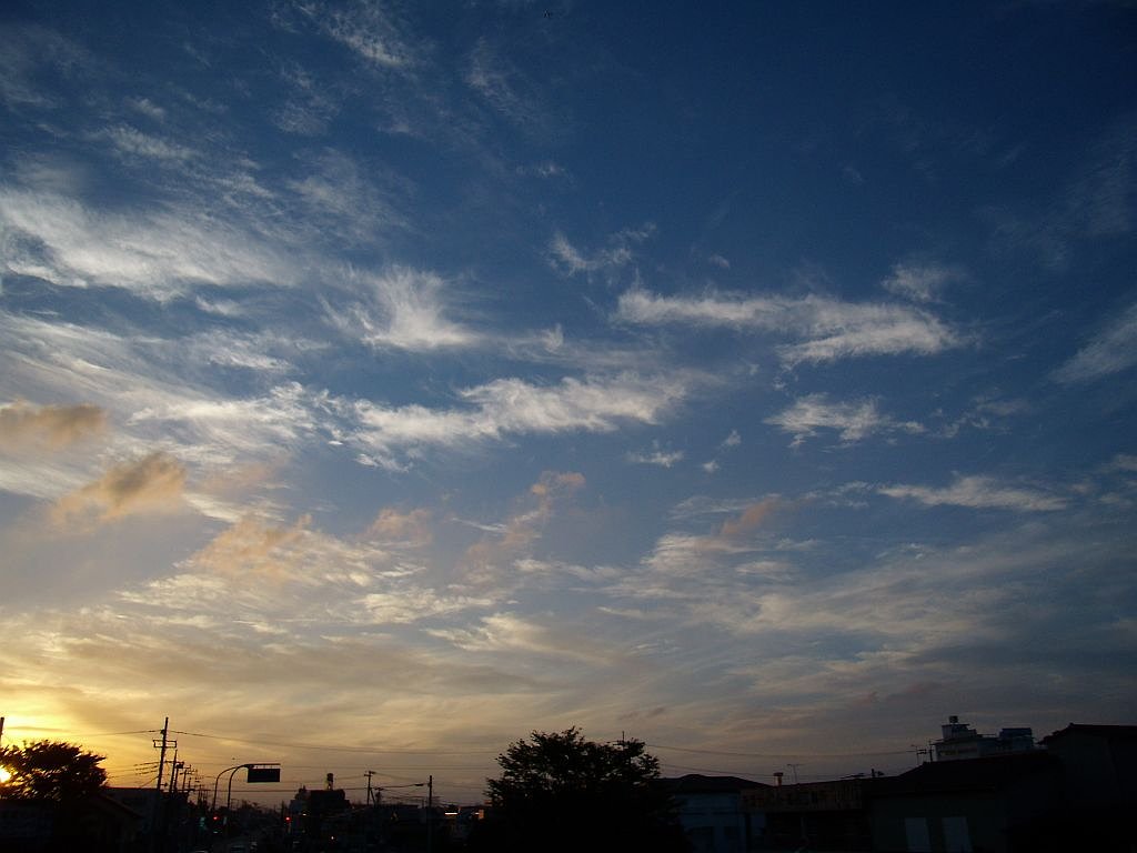 夕日