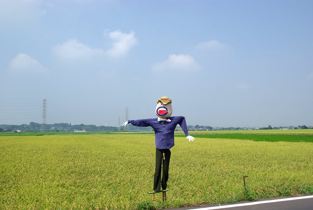案山子祭り・・・