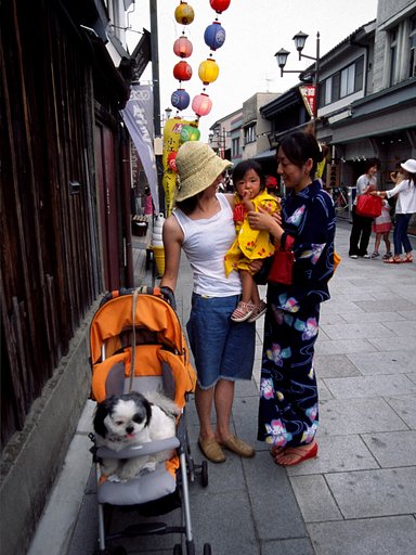 お犬さまさま!