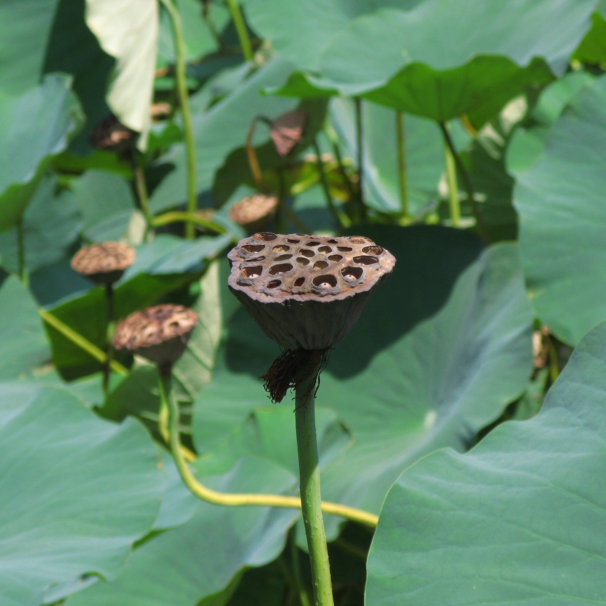 終わりの始まり