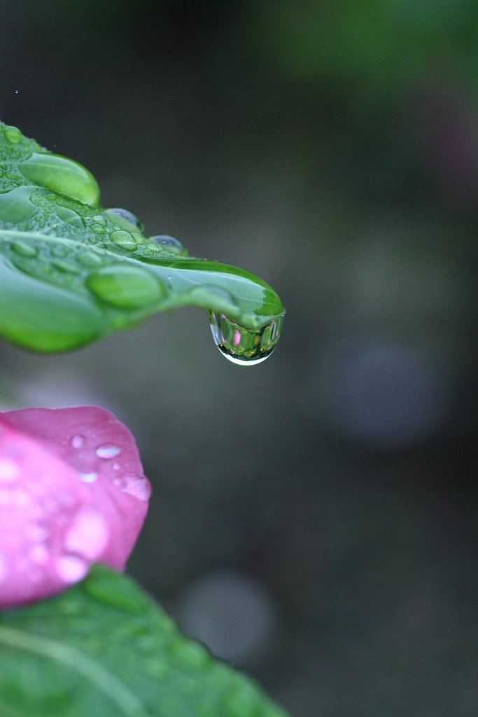 雨の日は