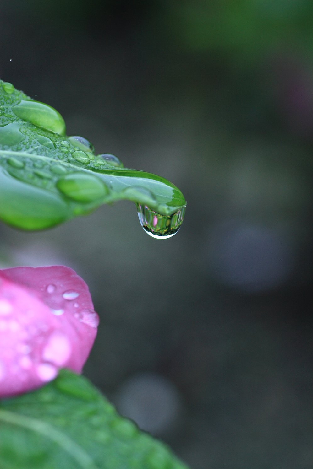 雨の日は