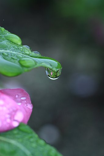 雨の日は