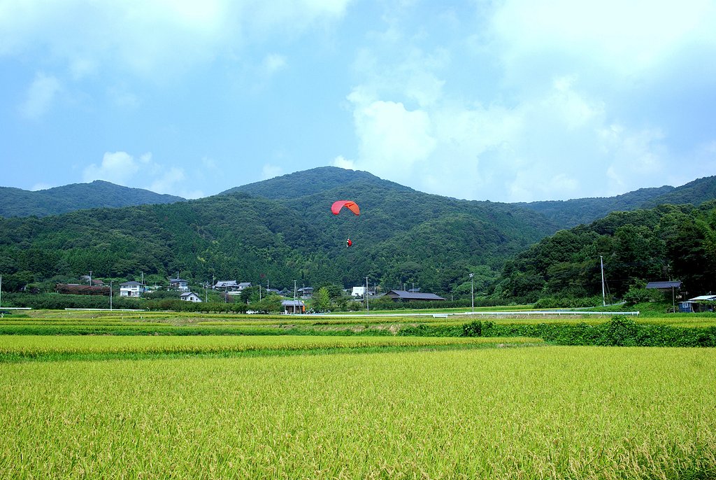 着陸・・・