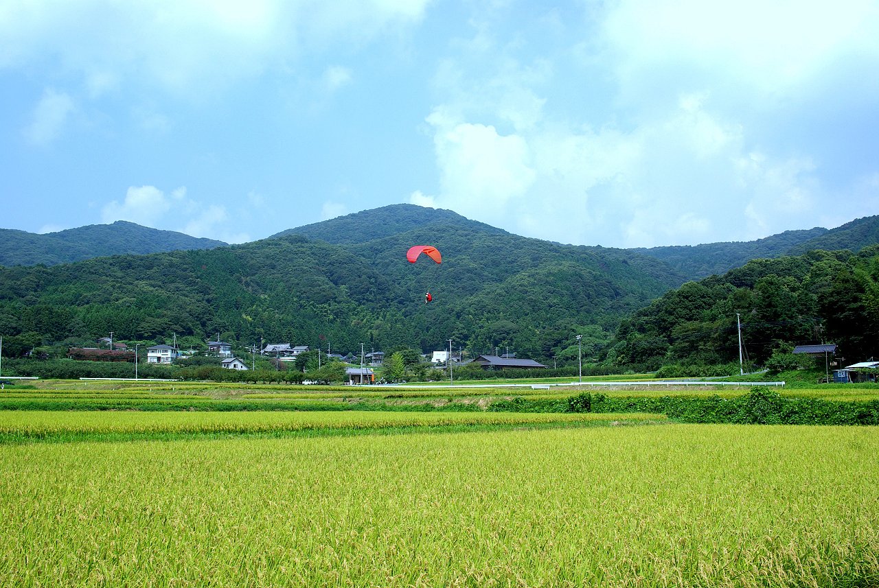 着陸・・・