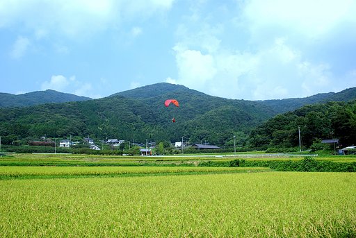 着陸・・・