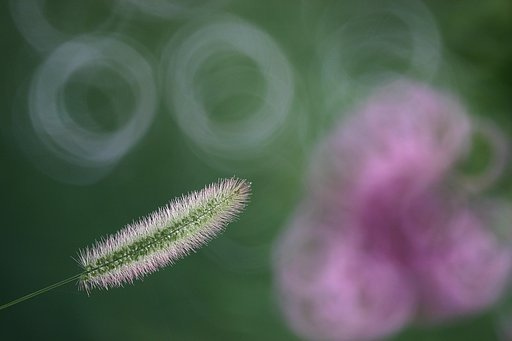 350mmF5.6ミラー