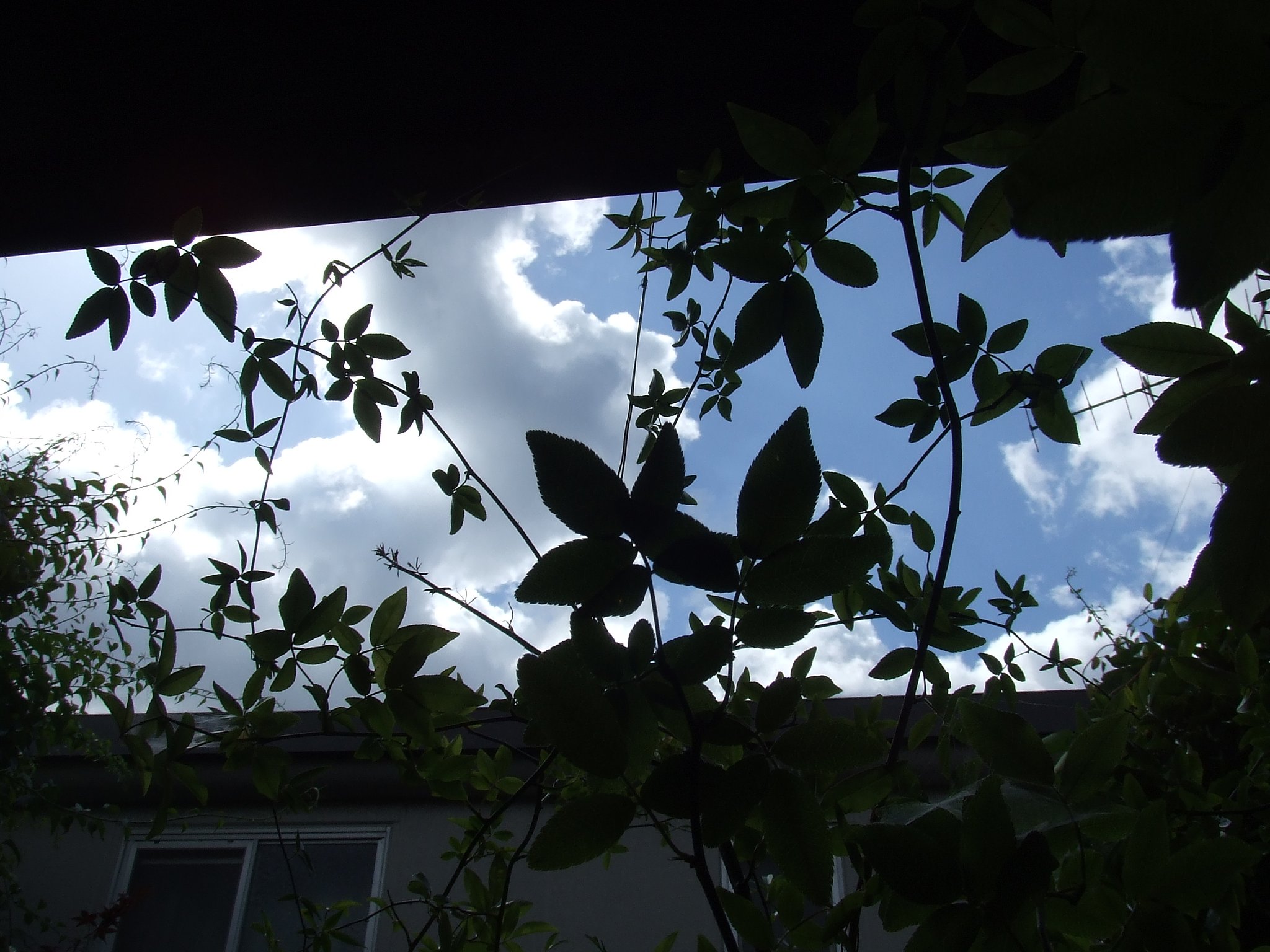 隙間から青空