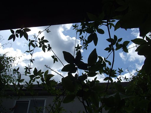 隙間から青空
