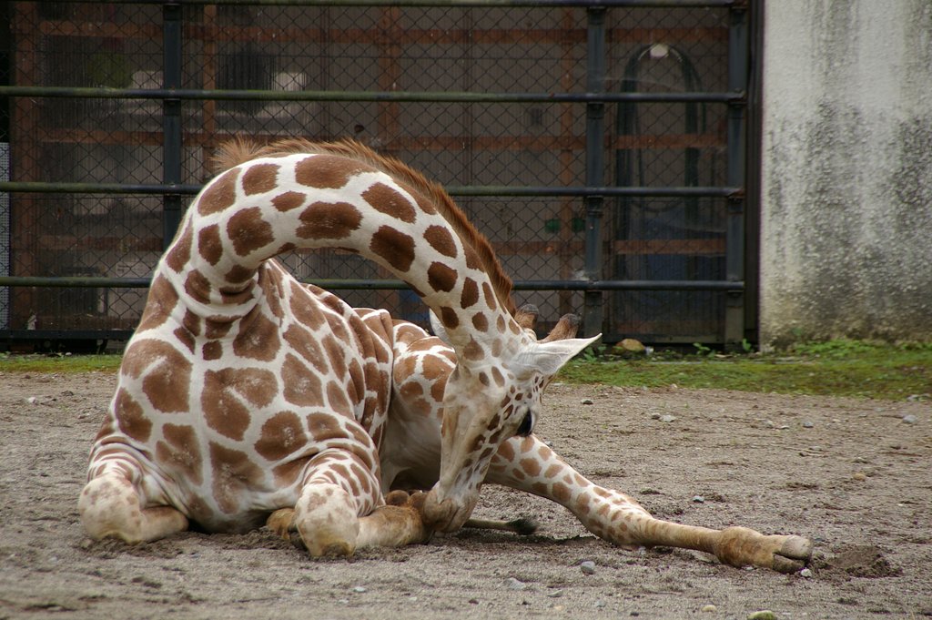 ちょっと眠くなっちゃった