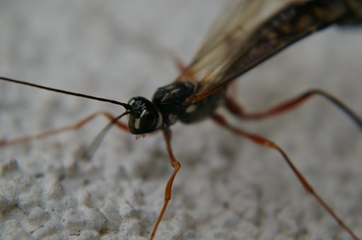 What this is ?