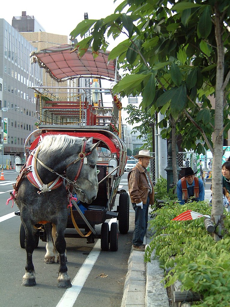 乗りませんか？
