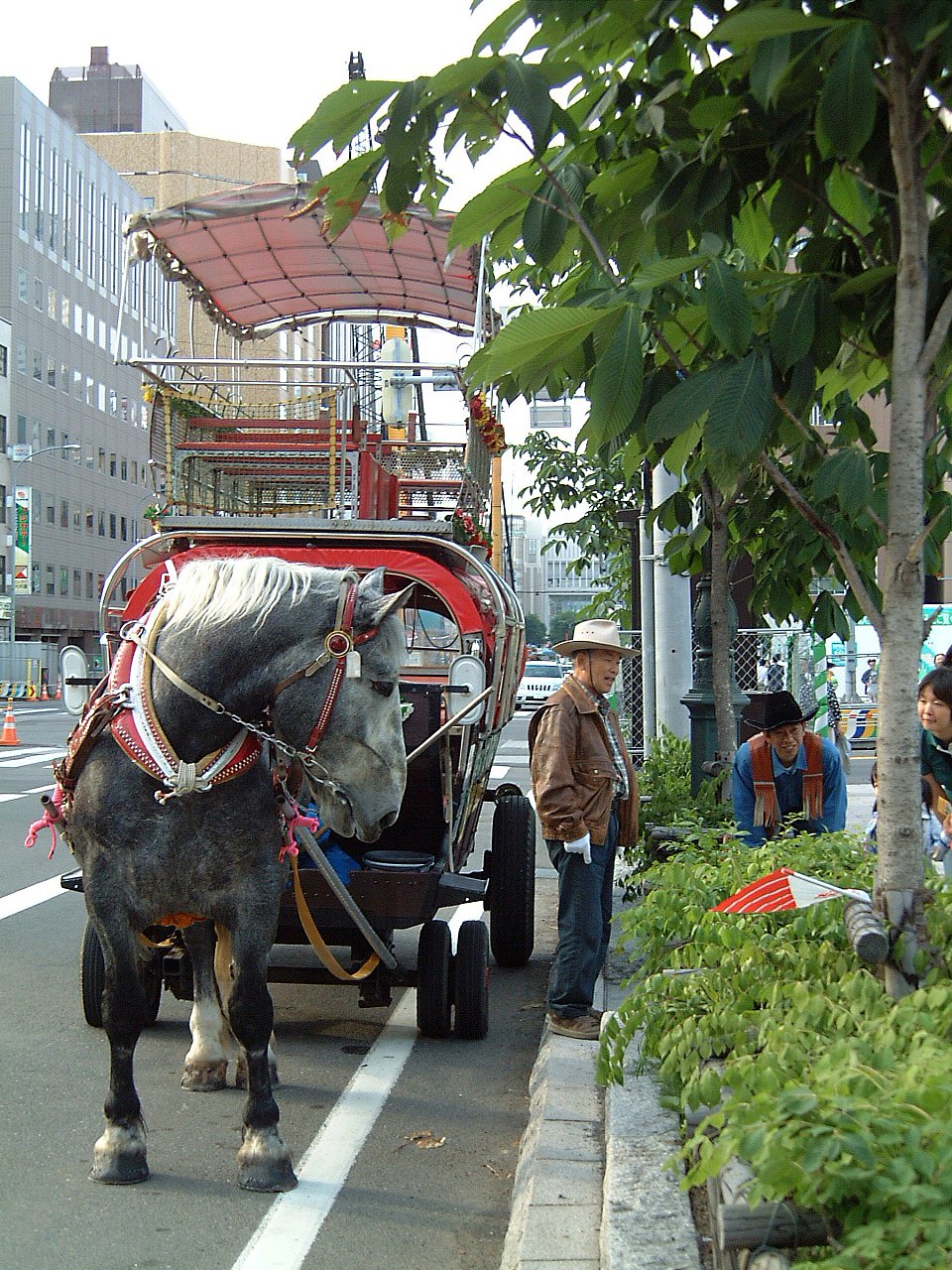 乗りませんか？