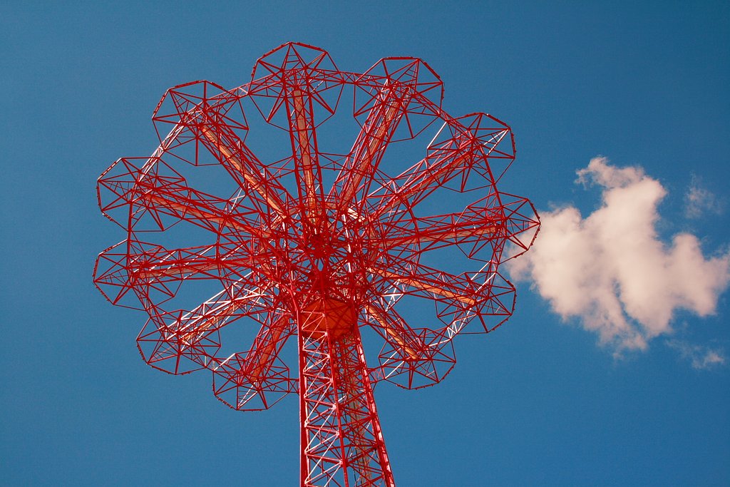 大空に咲く花