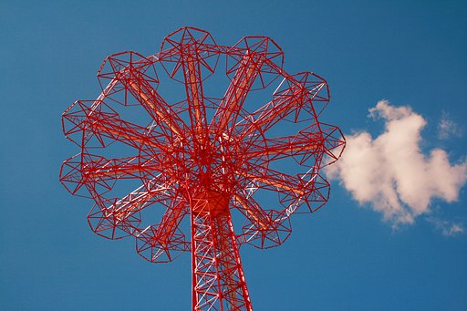 大空に咲く花